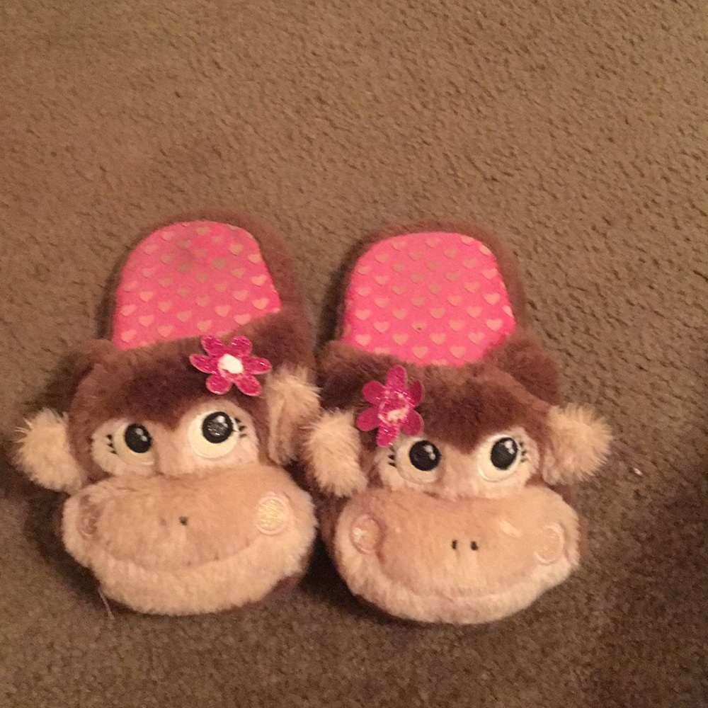 Hosue slides